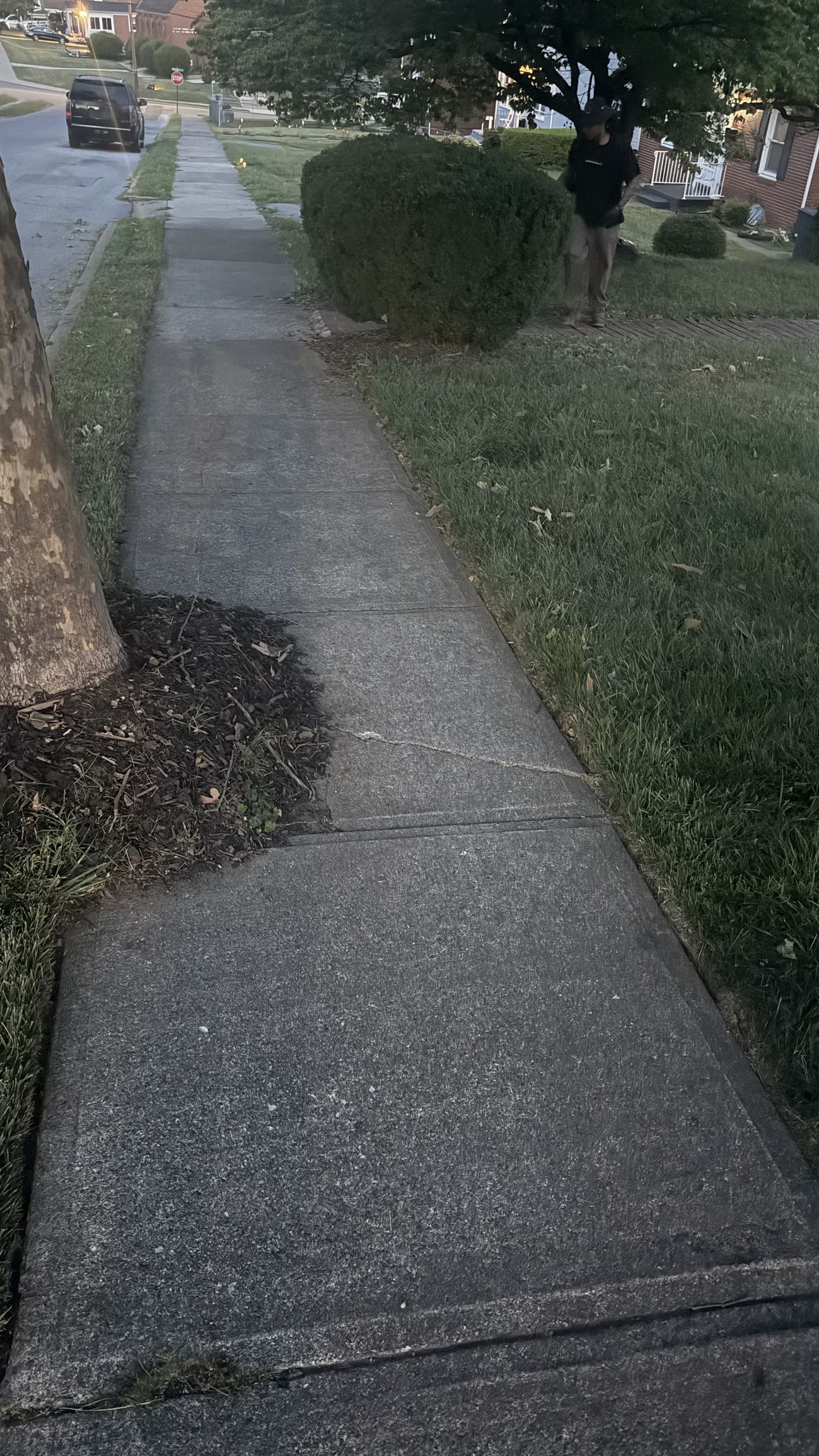 Lawn Lovers VA project photo